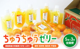 ちゅうちゅうゼリー(175g)×5本入り 毎月届く3ヶ月の定期便です｡毎月25日頃にレア銘柄を含めた５銘柄をお送りさせていただきます。愛媛県産柑橘ストレート果汁に、グラニュー糖、ゲル化剤(アガー)を加