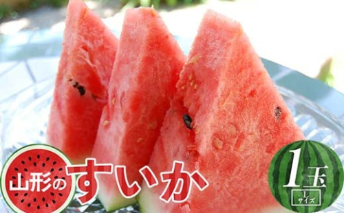 《先行予約 2025年度発送》山形県産すいか1玉（Lサイズ）  スイカ すいか 西瓜 デザート フルーツ 果物 くだもの 果実 食品 山形県 FSY-0722
