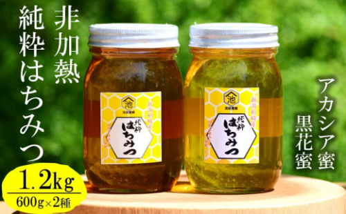 【先行予約・令和7年産】国産 非加熱 純粋はちみつ 600g×2種類（アカシア蜜・黒花槐蜜）食べ比べセット 柏崎産[Y0451]