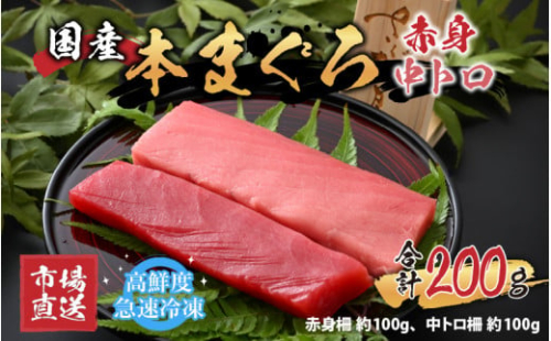 【市場直送】高鮮度急速冷凍 国産本まぐろ 赤身＆中トロ 2種セット 各約100ｇ（柵） 合計約200g【マグロ 鮪 本マグロ 赤身 中トロ セット 食べ比べ さく 刺身 プロトン凍結 国産 冷凍】[A-065006]