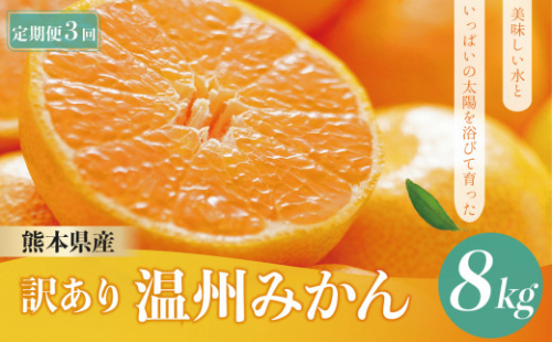 【 定期便 3回】 訳あり 温州 みかん 8kg | 果物 フルーツ みかん 温州みかん 訳あり 定期便