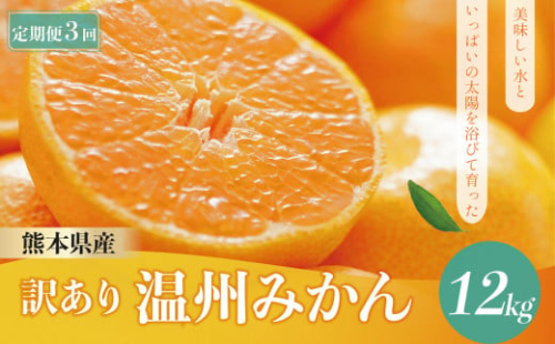 【 定期便 3回】 訳あり 温州 みかん 12kg | 果物 フルーツ みかん 温州みかん 訳あり 定期便 熊本 玉名