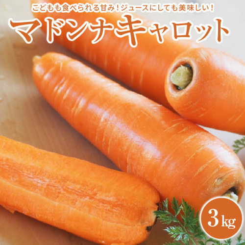 ＜フジテレビ『どっちのふるさと？』で紹介されました！＞ こどもも食べられる甘み！ジュースにしても美味しい！「マドンナキャロット」 3kg　H105-122 92870 - 愛知県碧南市