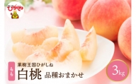 白桃品種おまかせ  約3kg(7～12玉入)　晴天畑提供　hi004-hi026-028