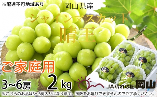 ご家庭用 シャインマスカット 晴王 3～6房 約2kg 葡萄 ぶどう 果物