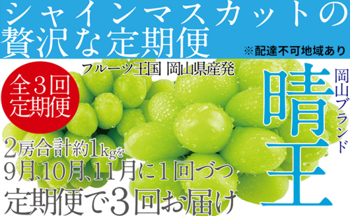  【×】ぶどう 定期便3回［2024年］9月・10月・11月発送 シャインマスカット 晴王 2房（合計約1kg）岡山県産 果物 フルーツ デザート 食後 酸味が少ない 産地直送  928894 - 岡山県瀬戸内市
