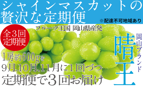  【×】ぶどう 定期便3回［2024年］9月・10月・11月発送 シャインマスカット 晴王 1房 約600g 岡山県産 果物 フルーツ デザート 食後 酸味が少ない 産地直送  928898 - 岡山県瀬戸内市