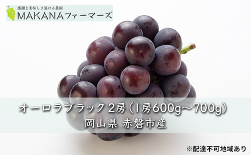 ぶどう 2026年 先行予約 オーロラ ブラック 2房（1房600g～700g） 大粒 種無し ブドウ 葡萄 岡山県 赤磐市産 国産 フルーツ 果物 ギフト MAKANAファーマーズ 果物類 オーロラブラック  92897 - 岡山県赤磐市