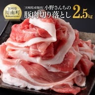 宮崎県産豚肉 小野さんちの豚肉 切り落とし 2.5kg【 豚肉 豚 肉 宮崎県産 小分け パック 便利 和洋中】