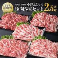 宮崎県産豚肉 小野さんちの豚肉５種セット” 2.5kg【 豚肉 豚 肉 宮崎県産 しゃぶしゃぶ 焼肉 セット 和洋中】