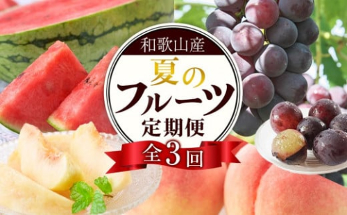 定期便全3回 和歌山の人気の夏のフルーツをお届け！ ［TM204］