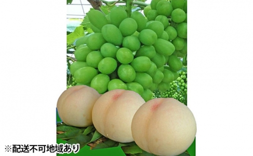 赤磐市産 清水 白桃 3玉／ シャインマスカット 1房 約1.5kg