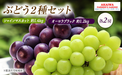 ぶどう 2025年 先行予約 シャインマスカット 約1.4kg 2房 オーロラブラック 約1.2kg 2房 葡萄 岡山県 赤磐市産 フルーツ 果物  92906 - 岡山県赤磐市