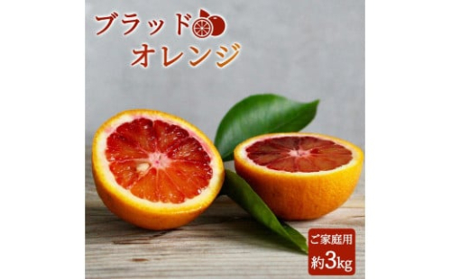 希少な柑橘!紀州有田産ブラッドオレンジ約3kg 【ご家庭用】【2026年3月上旬以降発送】【先行予約】【UT55】