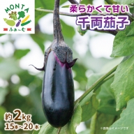 野菜 夏野菜 なすび  千両茄子 約 2kg 朝どれ 産地直送 徳島県 阿波市