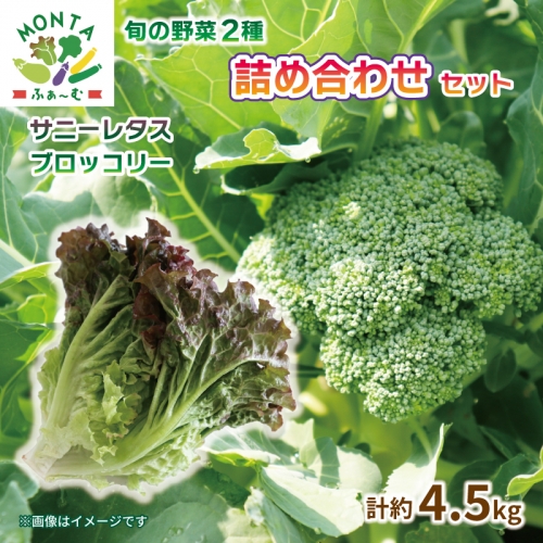 野菜 サニーレタス ブロッコリー 約 4.5kg 詰め合わせ セット 朝どれ 産地直送  929166 - 徳島県阿波市