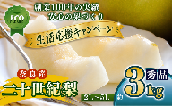 A17 [先行予約] 南陽園の二十世紀梨 おみやげ桜箱(約3kg) 2L〜5L [秀品] | ≪数量限定≫ 梨園直送! 期間限定 果物 くだもの フルーツ 農家直送 梨 ナシ なし シャキシャキ もぎたて 旬 お取り寄せ 二十世紀梨 奈良県 大淀町 ※9月10日頃より順次発送