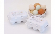 南房総 かずさ美鶏卵 24個（6個入り）× ４パック お米を食べて育つ鳥の卵 卵 たまご 君津市産