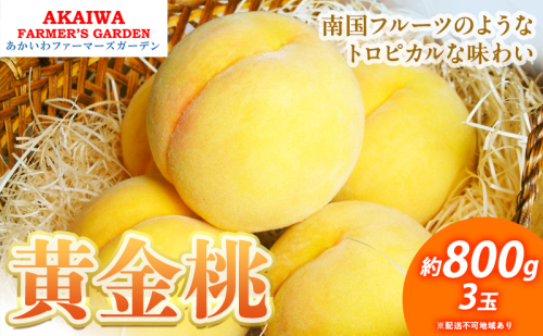 桃 2025年 先行予約 黄金桃 約800g 3玉 もも 岡山県 赤磐市産 フルーツ 果物 あかいわファーマーズガーデン 果物類  92929 - 岡山県赤磐市