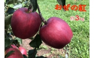 【009-32】信州のりんご　おぜの紅　約3キロ