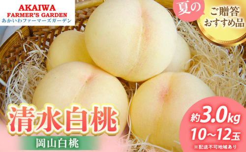 桃 2025年 先行予約 清水 白桃 約3.0kg 10～12玉 もも 岡山県 赤磐市産 フルーツ 果物 あかいわファーマーズガーデン 果物類  92934 - 岡山県赤磐市