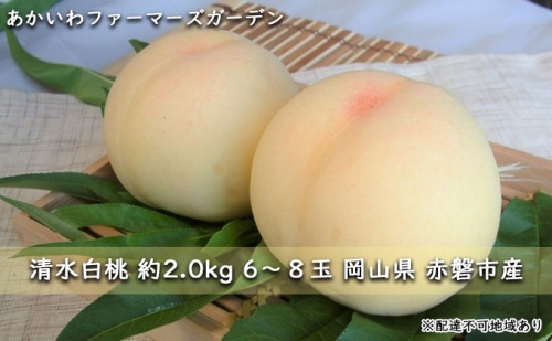 桃 2024年 先行予約 清水 白桃 約2.0kg 6～8玉 もも 岡山県 赤磐市産 フルーツ 果物 あかいわファーマーズガーデン