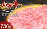山形牛 ロースすき焼き・しゃぶしゃぶ用 牛肉 肉 F3S-1673