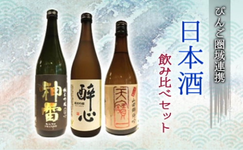 日本酒 飲み比べセット びんご圏域連携 天寶一（福山市）醉心山根本店（三原市）三輪酒造（神石高原町）　084001