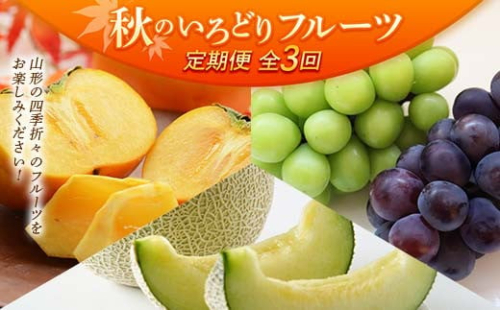 【先行予約 令和7年度発送】【定期便3回】 秋のいろどりフルーツ  ぶどう ブドウ 葡萄 デザート フルーツ 果物 くだもの 果実 食品 山形県 FSY-0731