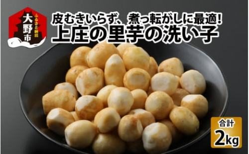 【先行予約】皮むきいらず、煮っ転がしに最適！上庄の里芋の洗い子【冷凍】500g × 4　計2kg【2025年11月中旬以降順次発送】