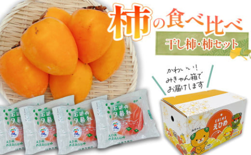 【先行予約】 柿の食べ比べ　干し柿・柿セット　2025年12月発送　あたご柿 あんぽ柿 柿