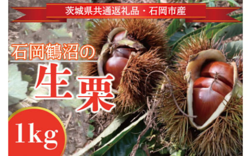 【先行予約】【2025年9月より順次発送】石岡鶴沼の生栗  1kg（茨城県共通返礼品・石岡市産）(ER-1-1)