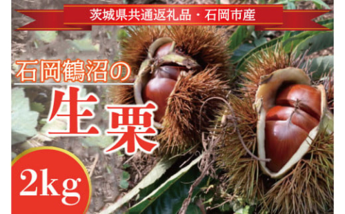 【先行予約】【2025年9月より順次発送】石岡鶴沼の生栗  2kg（茨城県共通返礼品・石岡市産）(ER-2-1)
