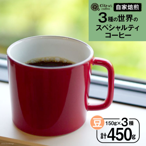 コーヒー 世界の3種 スペシャルティコーヒー 飲み比べ セット【豆】150g×3種 計450g [Citruss Coffee 長崎県 雲仙市 item1787] 珈琲 コーヒー豆 飲み比べ セット 929651 - 長崎県雲仙市