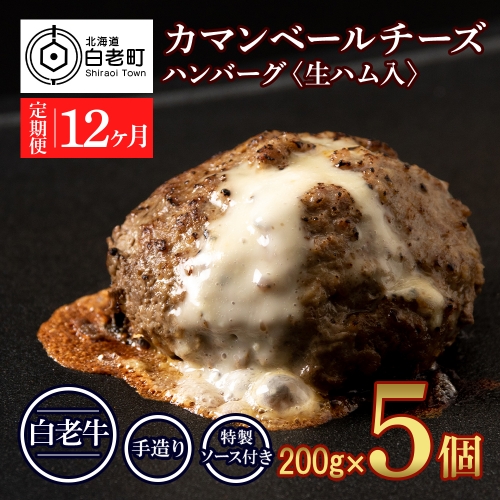 定期便12ヵ月 お楽しみ 北海道産 白老牛 カマンベールチーズハンバーグ 5個セット 冷凍 チーズ イン ハンバーグ 929658 - 北海道白老町