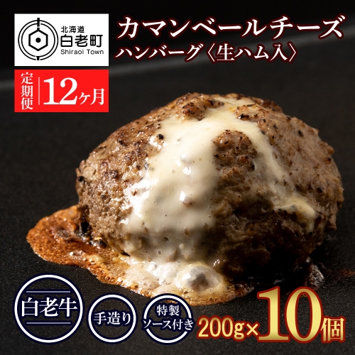 定期便12ヵ月 お楽しみ 北海道産 白老牛 カマンベールチーズハンバーグ 10個セット 冷凍 チーズ イン ハンバーグ