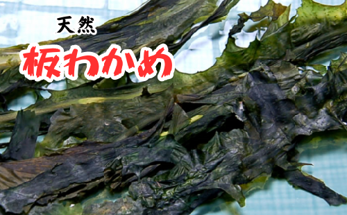 山陰の名産品　天然　板わかめ　大判　70g×2袋【1407646】