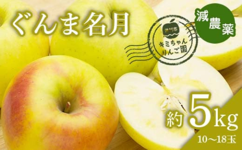 2023年秋発送 減農薬 りんご ぐんま名月 約5kg （10～18玉） 甘い リンゴ 果物 希少 お取り寄せ 贈答品 ギフト F4H-0131