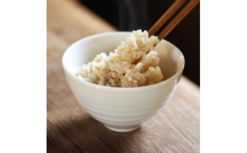 山形県産 はえぬき 玄米 10kg（5kg×2）令和6年産 2024年産 順次発送 お米 米 ブランド米 こめ F21A-402