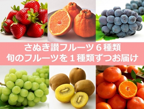 【フルーツ定期便】さぬき讃フルーツ６種類 旬のフルーツを１種類ずつお届け【G-4】