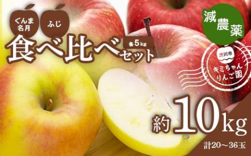 2023年秋発送 減農薬 りんご ぐんま名月とふじの食べ比べセット 約10kg （20～36玉） 甘い リンゴ 果物 希少 お取り寄せ 贈答品 ギフト F4H-0135