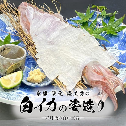 京都　榮元　海工房の白イカの姿造り
 930817 - 京都府京丹後市