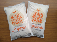 【新米】【7年産】すっごいもちもち 「しきゆたか」 白米【10kg(5kg×2袋)】【C004W】