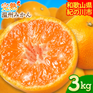 【先行予約】完熟 温州みかん 約3kg (35～40玉) こだまファーム《10月中旬-2月中旬頃出荷》 和歌山県 紀の川市 みかん ミカン 果物 フルーツ