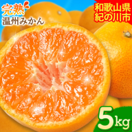 【先行予約】完熟 温州みかん 約5kg (45～55玉) こだまファーム《10月中旬-2月中旬頃出荷》 和歌山県 紀の川市 みかん ミカン 果物 フルーツ
