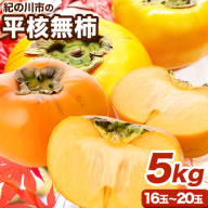 【先行予約】平核無柿 約5kg (16～20玉) こだまファーム《9月中旬-11月中旬頃出荷》 和歌山県 紀の川市 柿 カキ かき 果物 フルーツ 送料無料