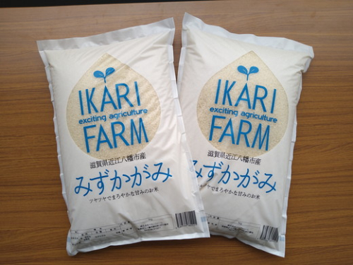 【新米】【7年産】冷めても美味しいあっさりとした味わい「みずかがみ」白米【10kg（5kg×2袋）】【C015W】 93091 - 滋賀県近江八幡市