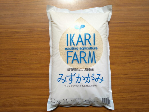 【新米】【7年産】冷めても美味しいあっさりとした味わい「みずかがみ」白米【5kg】【C014W】 93095 - 滋賀県近江八幡市