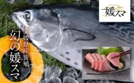 高級養殖魚・まるごと「媛スマ」 1.7～1.8kg前後【魚 お魚 さかな 食品 人気 おすすめ 送料無料】
