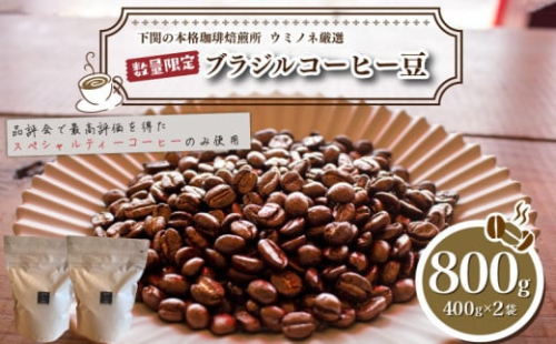 【中挽き】 訳あり コーヒー豆 800g ( 400g × 2袋 ) 数量限定 ブラジル 珈琲 自家焙煎 下関 山口 再入荷 2024年度入荷分 